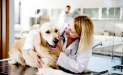 vet_clinic_1200